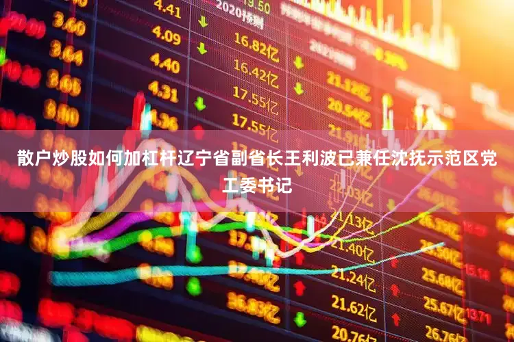 散户炒股如何加杠杆辽宁省副省长王利波已兼任沈抚示范区党工委书记