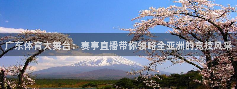 广东体育大舞台：赛事直播带你领略全亚洲的竞技风采