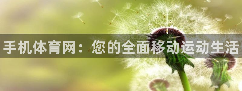 手机体育网：您的全面移动运动生活