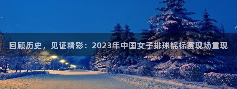 回顾历史，见证精彩：2023年中国女子排球锦标赛现场重现