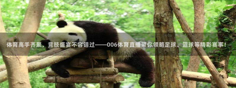 体育高手齐聚，竞技盛宴不容错过——006体育直播带你领略足球、篮球等精彩赛事！
