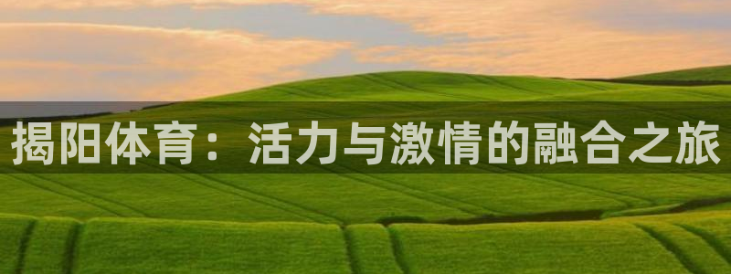 揭阳体育：活力与激情的融合之旅