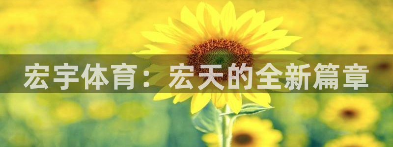 宏宇体育：宏天的全新篇章