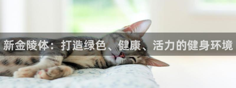 新金陵体：打造绿色、健康、活力的健身环境